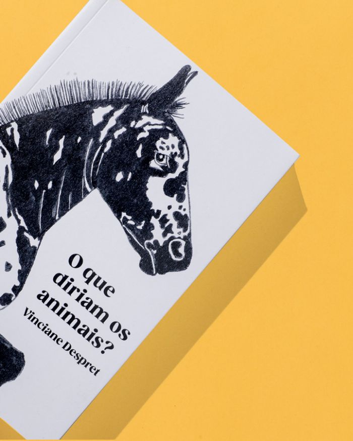 O que diriam os animais?