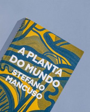 A planta do mundo